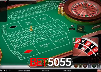 A Experiência Imersiva dos Cassinos Ao Vivo no Bet5055
